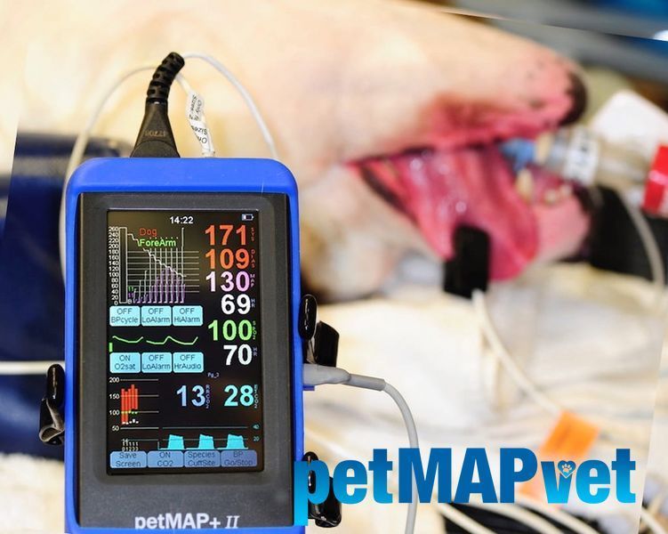 petMAP+ II (НИАД, ЧСС, Темп) &mdash; ветеринарный тонометр petMAP+ II 7451 фото